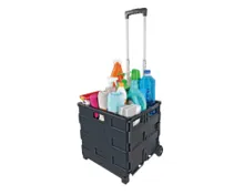 Pack and Go Trolley
