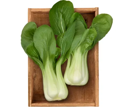 Pak Choi