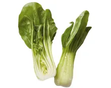 Pak-Choi