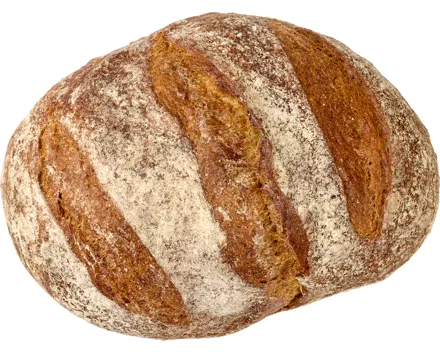 Pane Maggia
