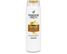 Pantene PRO-V Haarshampoo Repair&Care