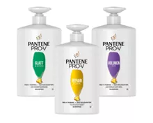 PANTENE PRO-V Shampoo