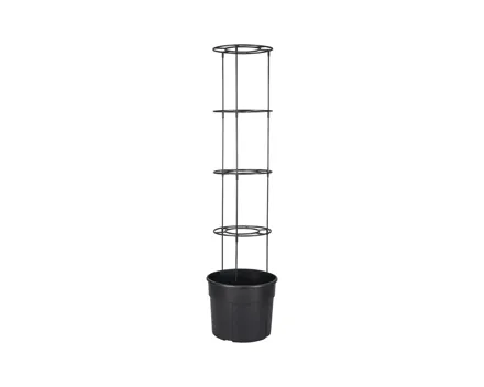 PARKSIDE Tomaten-Pflanzgefäss