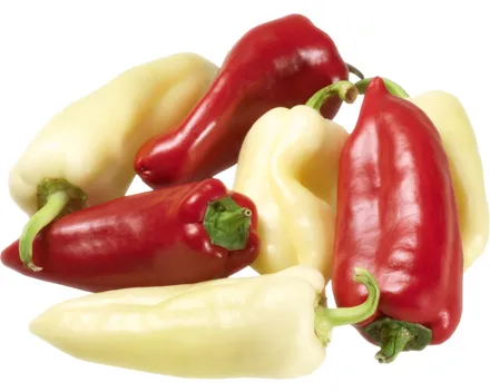 Peperoni Cecei