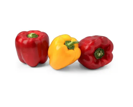 Peperoni farbig