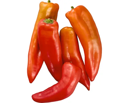 Peperoni Kapija