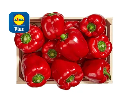 Peperoni rot