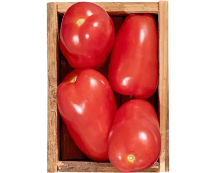 Peretti Tomaten