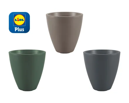 Pflanzvase
