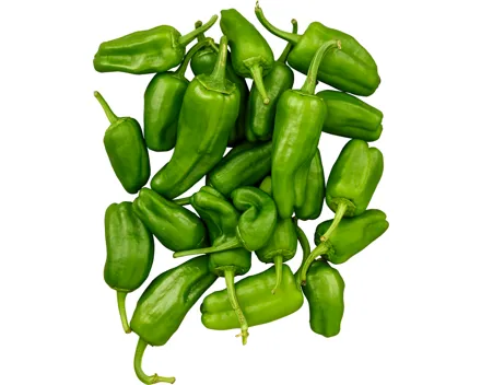 Pimientos de Padrón