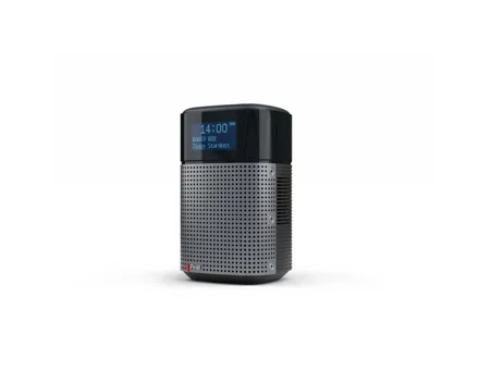 Pinell Radio Dab+ North Basic
