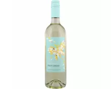 Pinot Grigio DOC Fior di Papione