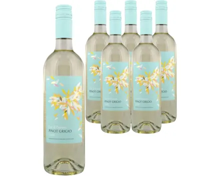Pinot Grigio DOC Fior di Papione 6x 75cl (2025) – Weisswein, Italien (0.75l)