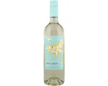 Pinot Grigio DOC Fior di Papione