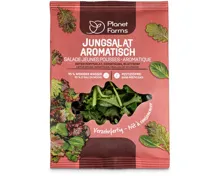 Planet Farms Jungsalat aromatisch