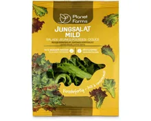 Planet Farms Jungsalat mild