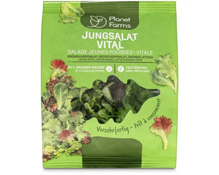 Planet Farms Jungsalat vital