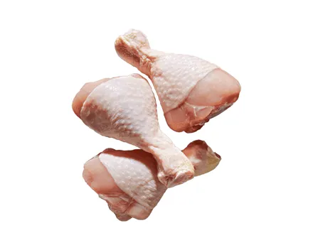 Pouletschlegeli XXL