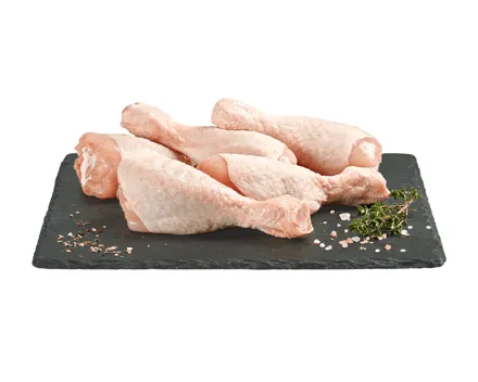 Pouletschlegeli XXL