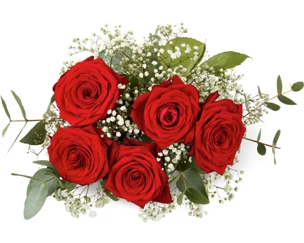 Premiumstrauss Valentin