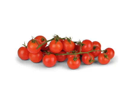 Primagusto Cherry-Rispentomaten