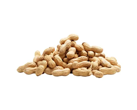 Primagusto Erdnüsse