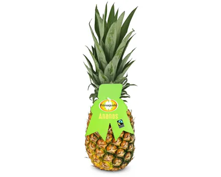 Primagusto Fairtrade Ananas 1 Stück