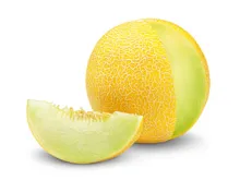 Primagusto Melone Galia 1 Stück