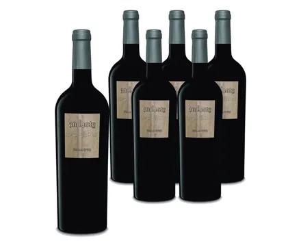 Primitivo del Salento IGT Andante 6x 75cl (2023) – Rotwein, Italien (0.75l)
