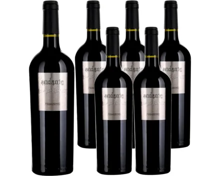Primitivo del Salento IGT Andante 6x 75cl (2024) – Rotwein, Italien (0.75l)