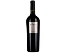 Primitivo del Salento IGT Andante