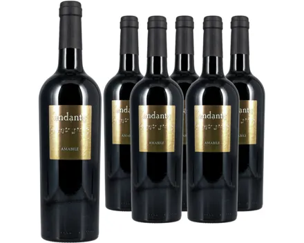 Primitivo IGT Amabile Andante 6x 75cl (2024) – Rotwein, Italien (0.75l)