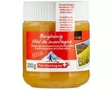 Pro Montagna Berghonig