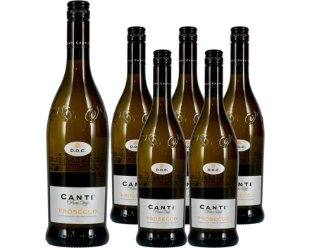 Prosecco DOC Canti Frizzante 6x 75cl – Schaumwein, Italien (0.75l)