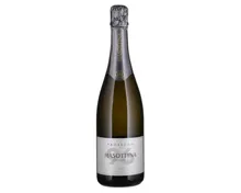Prosecco DOC Trevisio Collezione 96 Masottina brut