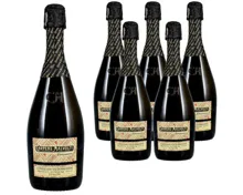Prosecco Superiore di Valdobbiadene Conegliano DOCG Carpené Malvolti, extra dry 6x 75cl