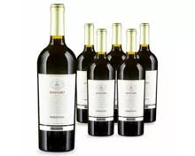 Puglia IGT Primitivo Massaro Giordano 6x 75cl