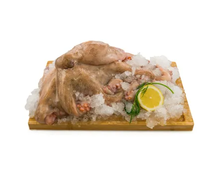 Pulpo ganz MSC ca. 1.5kg