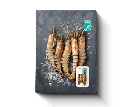 Pure Fish Black Tiger Crevetten