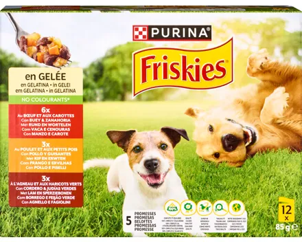 Purina Friskies Hundefutter in Gelée