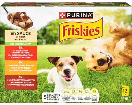 Purina Friskies Hundefutter in Sauce