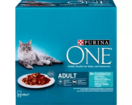 Purina ONE Adult Katzenfutter Zarte Stückchen in Sauce