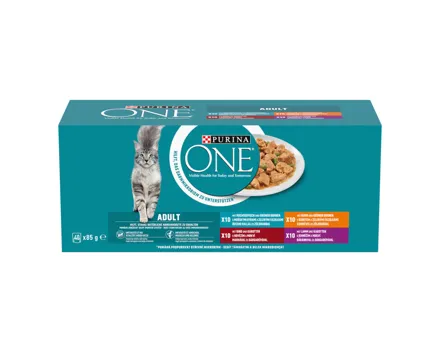 Purina ONE Nassfutter Fleisch & Fisch 40x85g