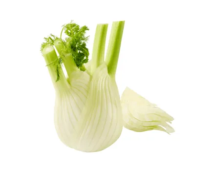 QUALITÉ SUISSE Schweizer Fenchel