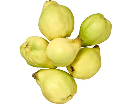 Quitten