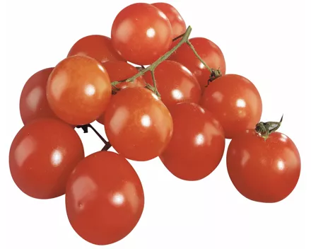 Ramati-Cherrytomaten