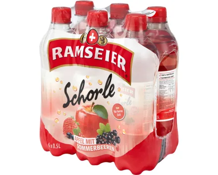 Ramseier Schorle Sommerbeeren 6x50cl