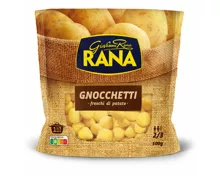 Rana Gnocchetti