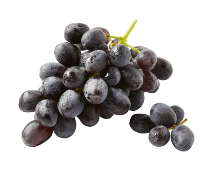 Red Globe Trauben