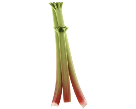 Rhabarber ca. 500g